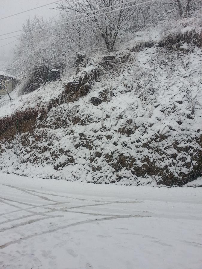 Holiday Bnb Manali Kültér fotó